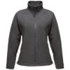 Seal Grey