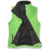 Vivid Green/Black