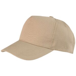 Result Boston 5 Panel Printers Cap