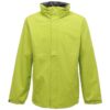 Keylime/Seal Grey