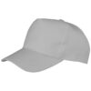 Dove Grey