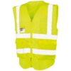 Fluorescent Yellow