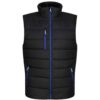Black/New Royal Blue