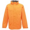 Sun Orange/Seal Grey