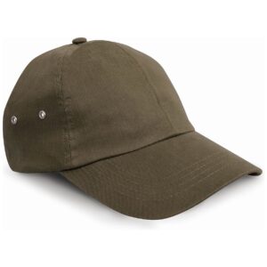 Result Plush Cap
