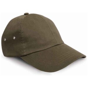 Result Plush Cap