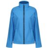 French Blue/Navy