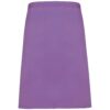 Rich Violet