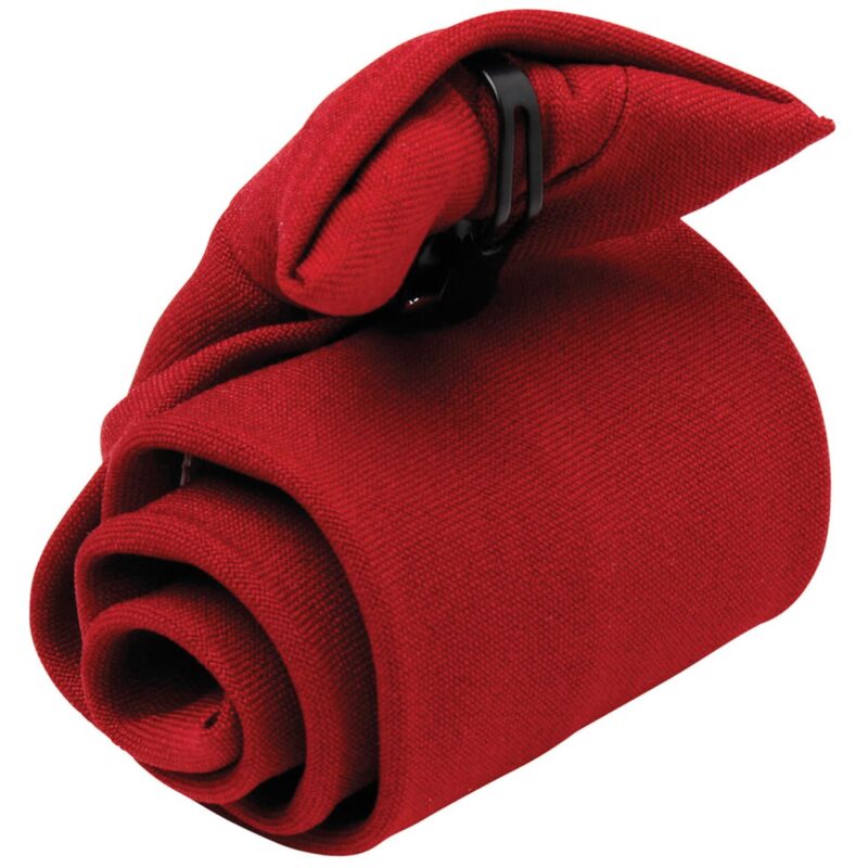 Premier Clip on Tie