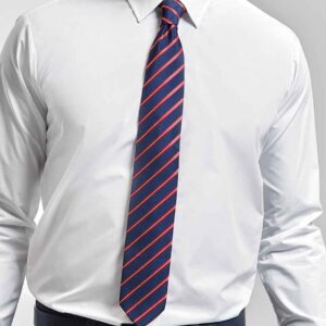 Premier Sports Stripe Tie