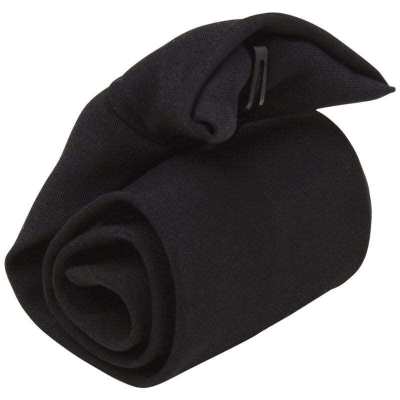 Premier Clip on Tie