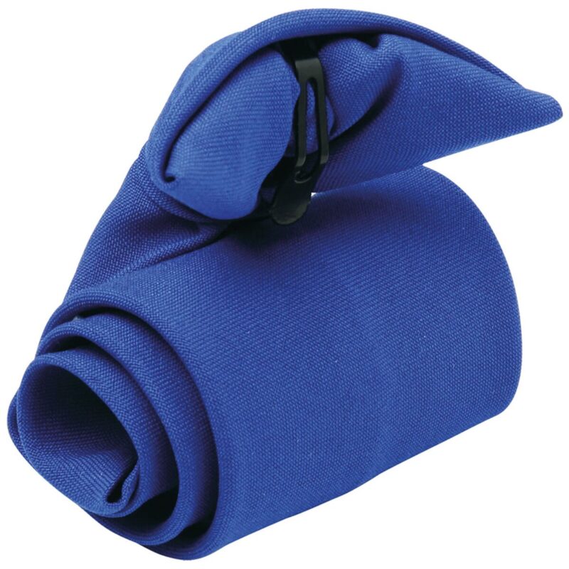 Premier Clip on Tie