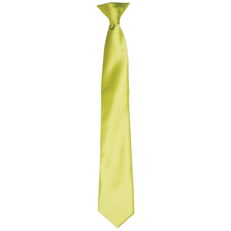 Premier 'Colours' Satin Clip Tie