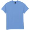 Carolina Blue