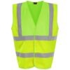 Yellow/Lime Green