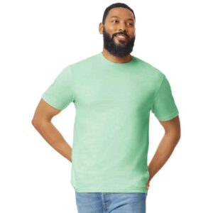 Gildan SoftStyle Adult T-Shirt