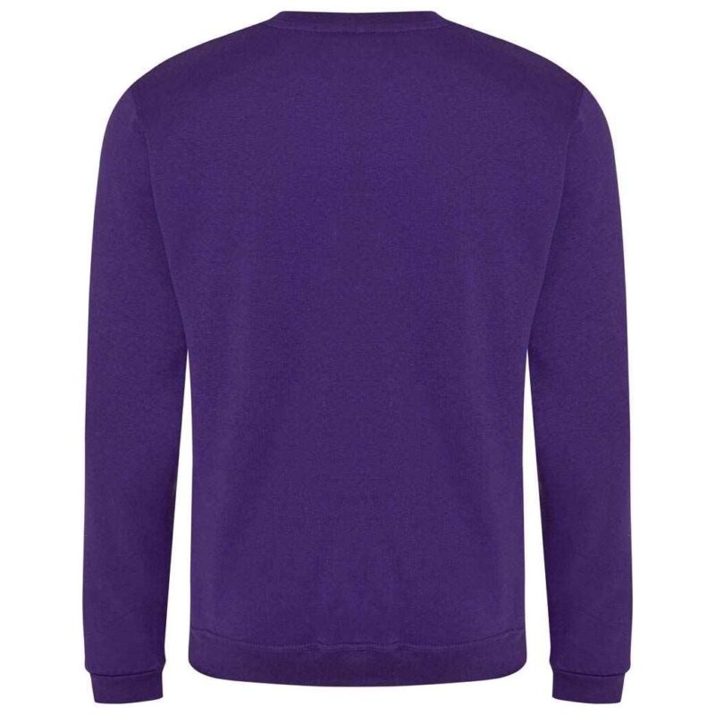 Pro RTX Pro Sweatshirt