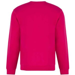 Pro RTX Pro Sweatshirt
