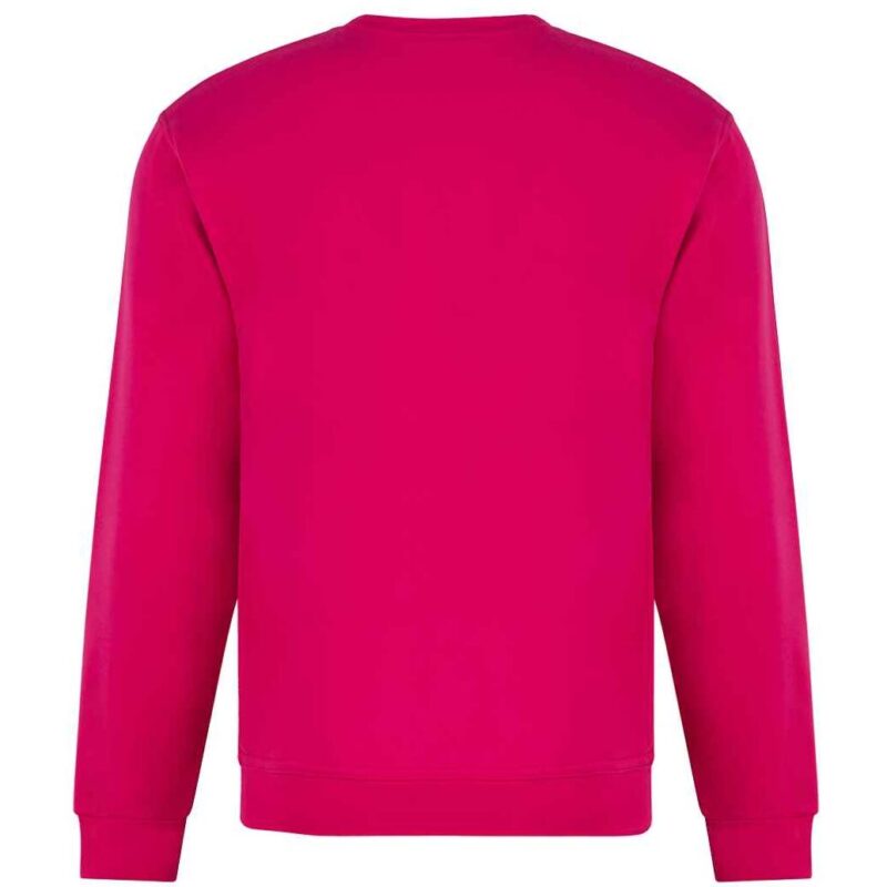 Pro RTX Pro Sweatshirt