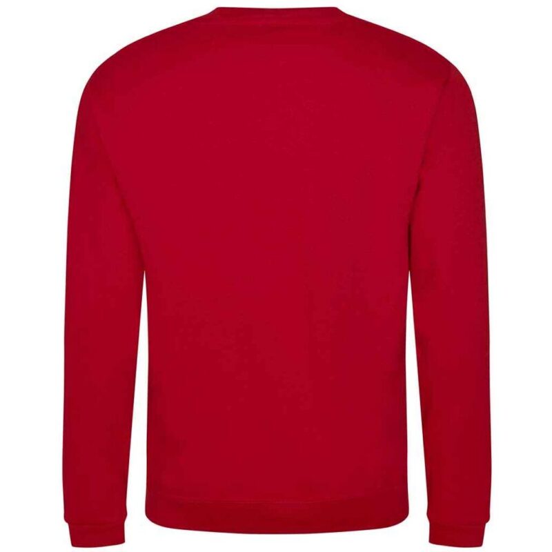 Pro RTX Pro Sweatshirt