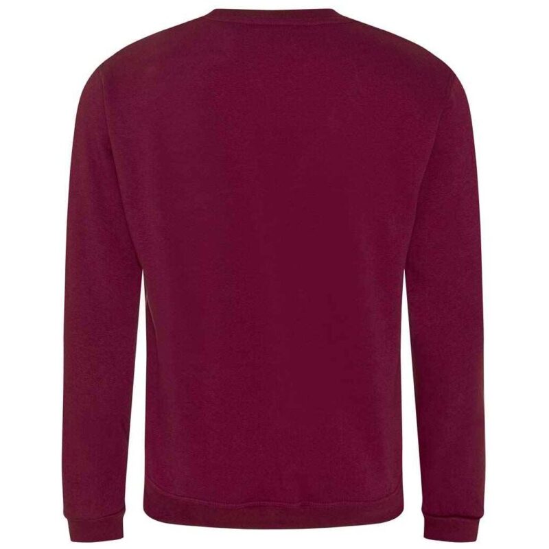 Pro RTX Pro Sweatshirt