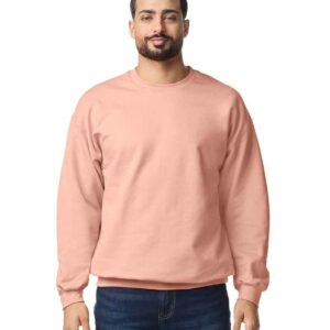 Gildan SoftStyle Midweight Crew Neck Sweatshirt