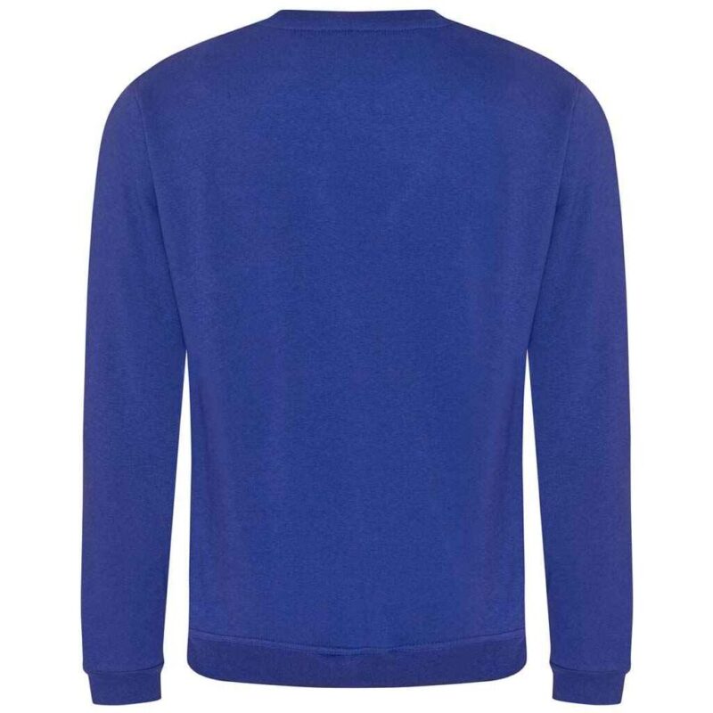 Pro RTX Pro Sweatshirt