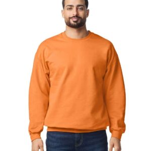Gildan SoftStyle Midweight Crew Neck Sweatshirt