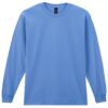 Carolina Blue