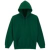 Fan Dark Green