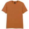 Fan Texas Orange
