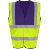 Yellow/Purple