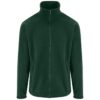 Bottle Green
