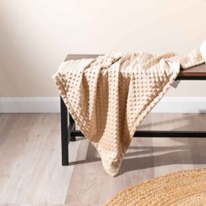Brand Lab Minky Fleece Blanket