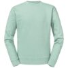Eucalyptus Green