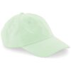 Pastel Mint