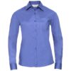 Corporate Blue