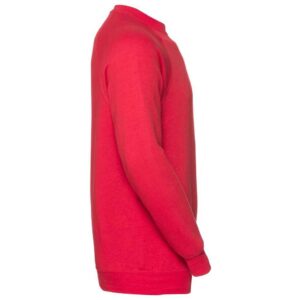 Russell Athletic Raglan Sweatshirt