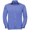 Corporate Blue