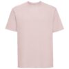 Powder Rose