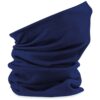 French Navy