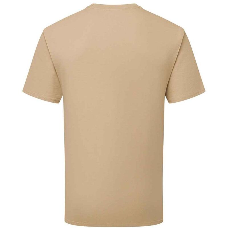 Russell Athletic Authentic Heavyweight T-Shirt