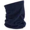 French Navy