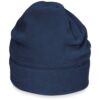 French Navy