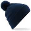 French Navy
