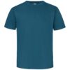 Petrol Blue