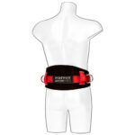 Portwest Portwest Work Positioning Belt Black FP08