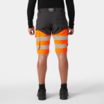 Helly Hansen Alna 4X Connect Shorts