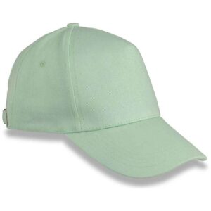 Result Organic Cotton 5 Panel Cap