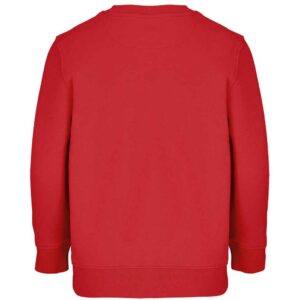 SOL'S Kids Columbia Sweatshirt